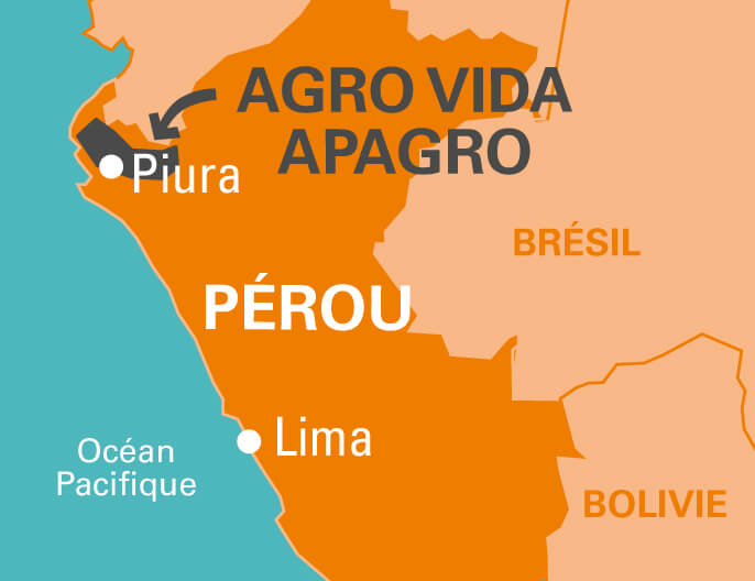 Carte coopÃ©rative Agro Vida et Apagro au PÃ©rou - PurÃ©e mangue bio morceaux